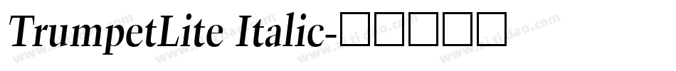 TrumpetLite Italic字体转换